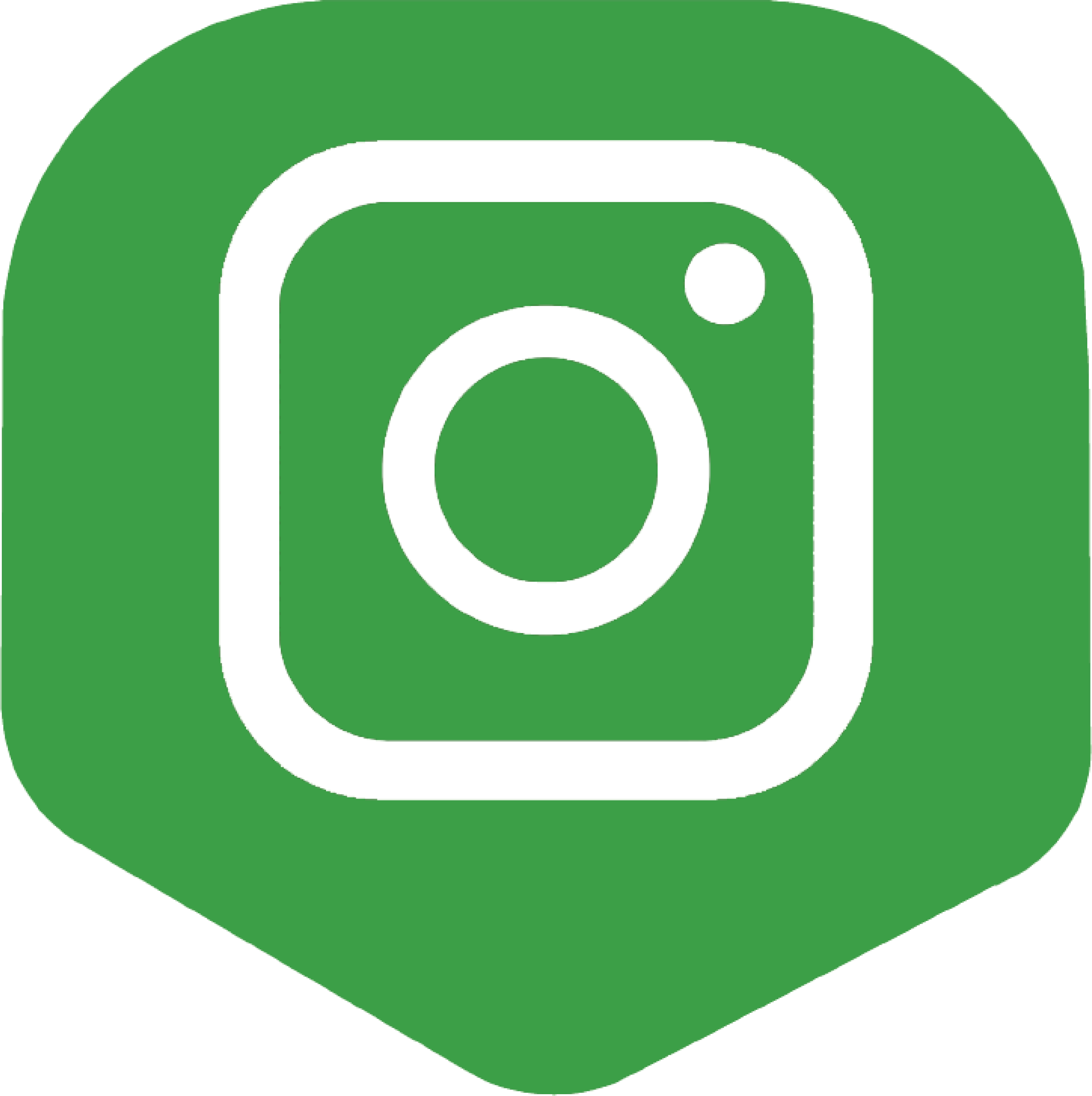 Instagram Icon