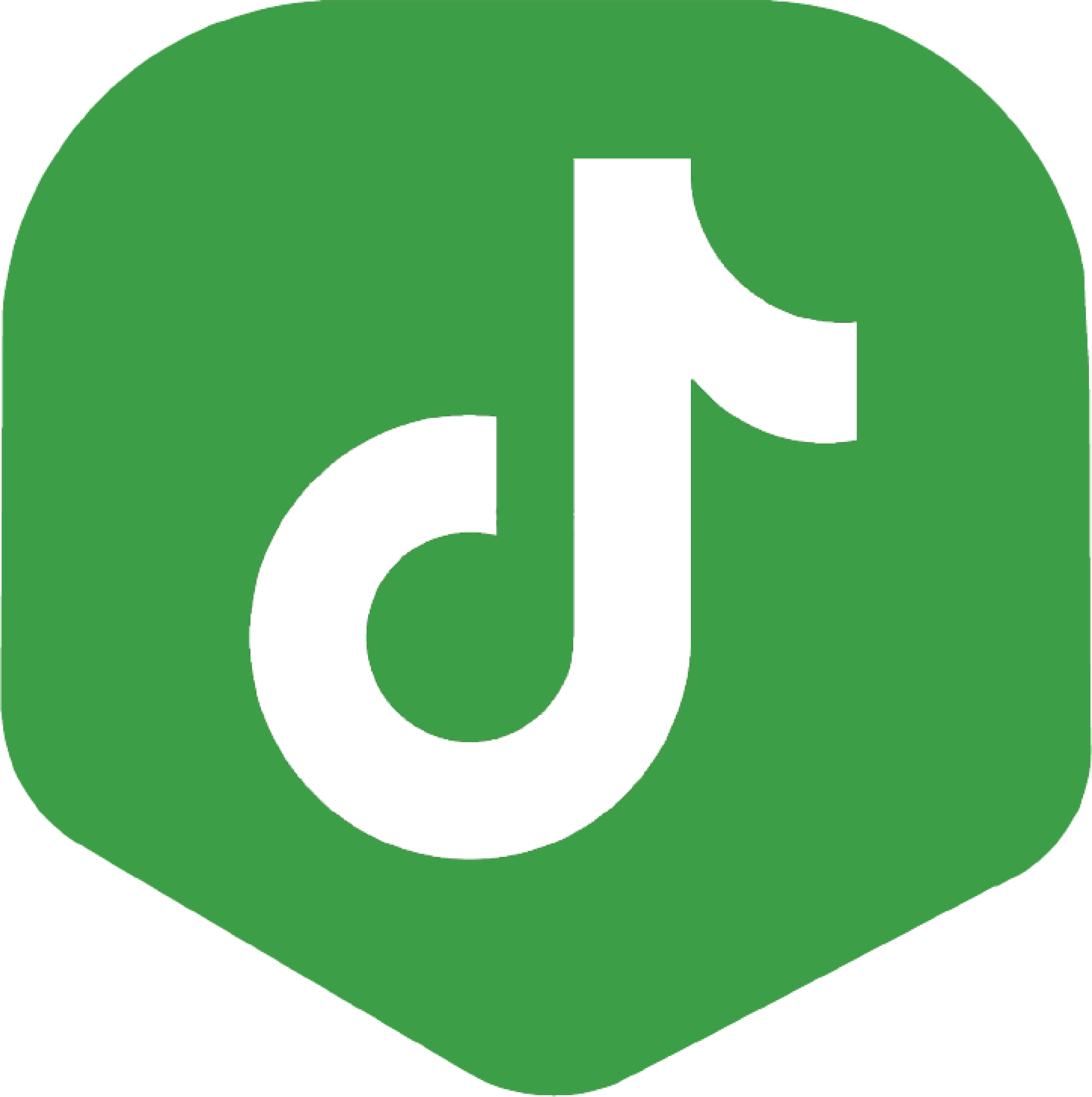 TikTok Icon
